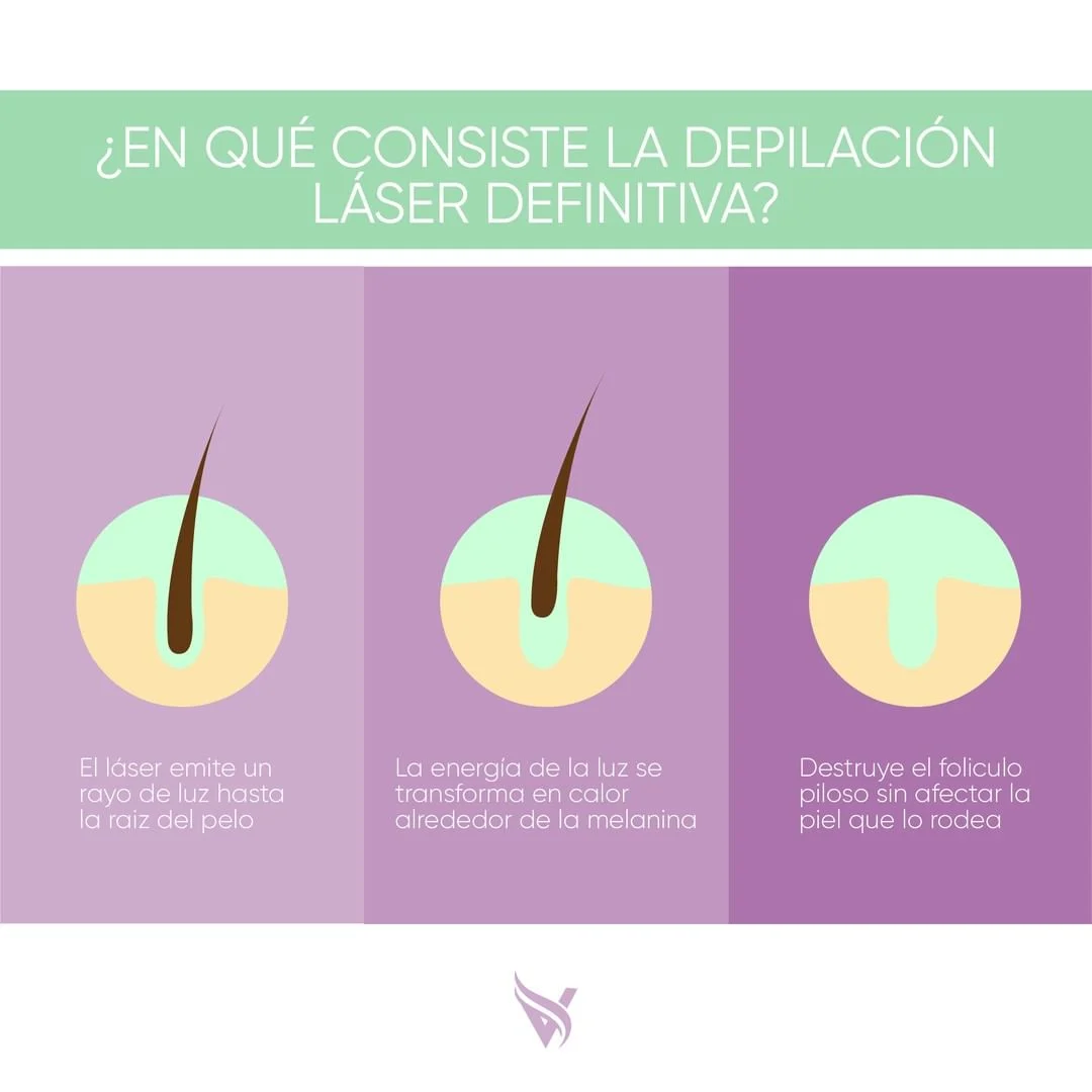 Velours Novedades Julio